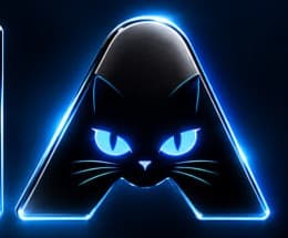 The cat's eyes, watching